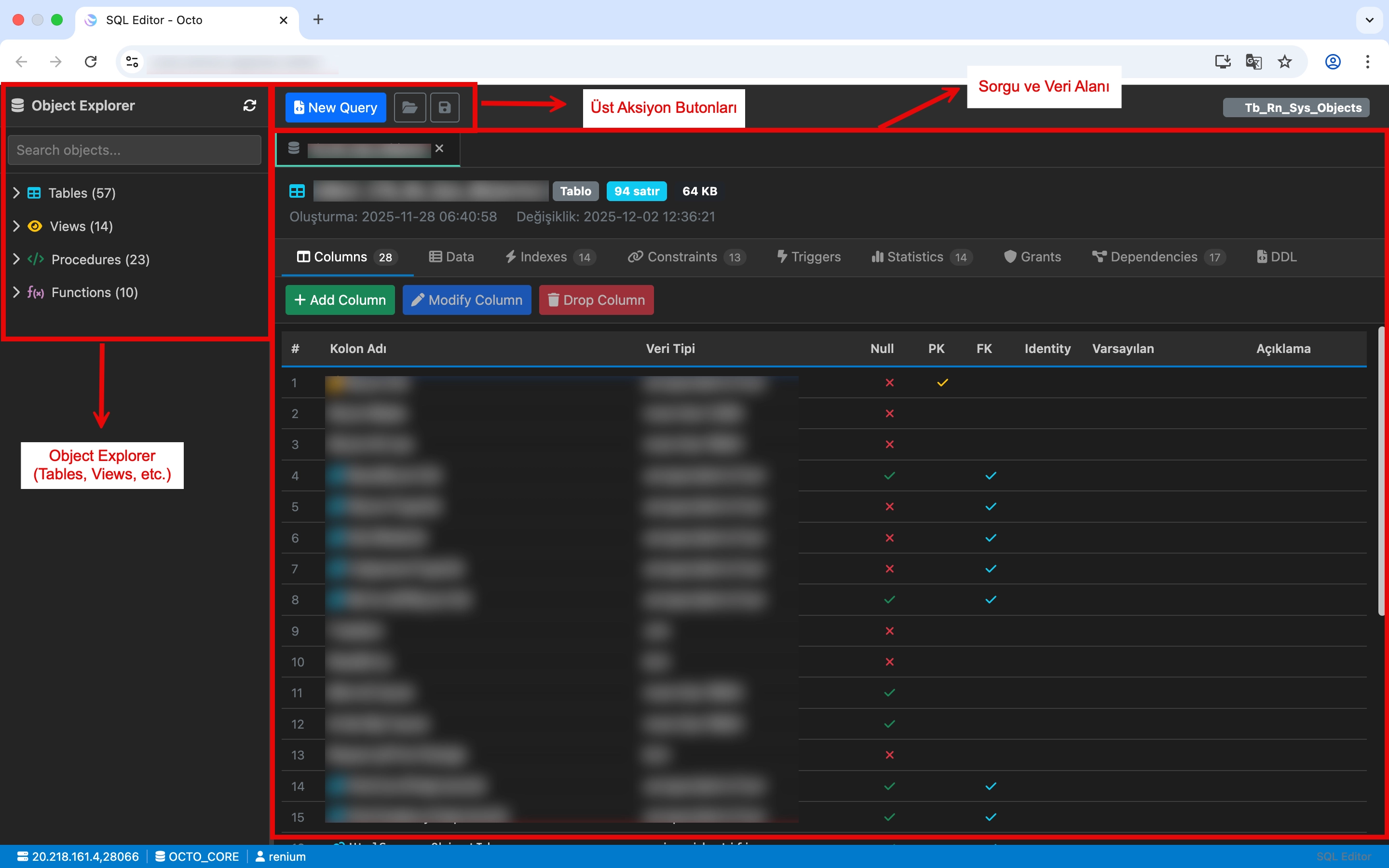 Sql Editor Alanları